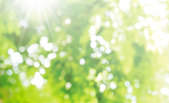 【業務多忙につき、増員募集】